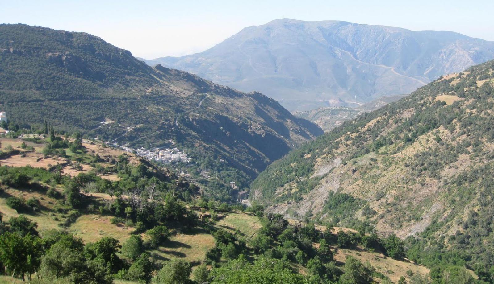 Alojamientos Rurales Benarum Con Spa Alpujarra De La Sierra Exteriör bild
